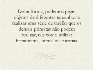 Desta forma, podemos pegar objetos de diferentes tamanhos e realizar uma série de tarefas que os demais primatas não podem realizar, tais como utilizar ferramentas, utensílios e armas. 