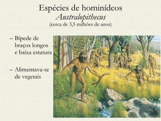 Espécies de hominídeos Australopithecus (cerca de 3,5 milhões de anos) Bípede de braços longos e baixa estatura Alimentava-se de vegetais 