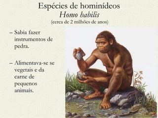 Espécies de hominídeos Homo habilis  (cerca de 2 milhões de anos) Sabia fazer instrumentos de pedra. Alimentava-se se vegetais e da carne de pequenos animais. 