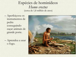 Espécies de hominídeos Homo erectus  (cerca de 1,8 milhão de anos) Aperfeiçoou os instrumentos de pedra conseguindo caçar animais de grande porte. Aprendeu a usar o fogo. 