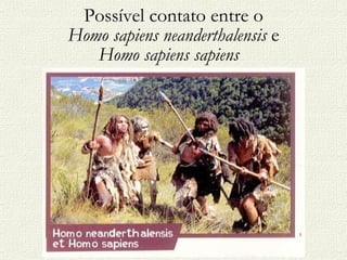 Possível contato entre o  Homo sapiens neanderthalensis  e  Homo sapiens sapiens   