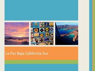 La Paz Baja California Sur
 