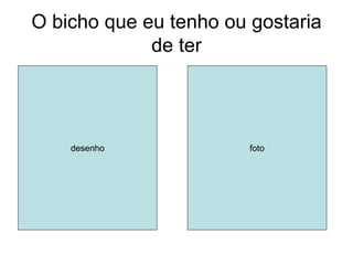 O bicho que eu tenho ou gostaria
             de ter




    desenho             foto
 