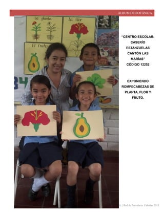 ÁLBUM DE BOTÁNICA.
ÁLBUM DE BOTÁNICA. | Red de Parvularia. Cabañas 2015
“CENTRO ESCOLAR:
CASERÍO
ESTANZUELAS
CANTÓN LAS
MARÍAS”
CÓDIGO 12252
EXPONIENDO
ROMPECABEZAS DE
PLANTA, FLOR Y
FRUTO.
 