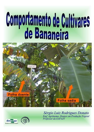 Folha doente
Folha sadia
Mandioca e Fruticultura Tropical
 