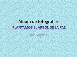 Álbum de fotografías por Lourdes 