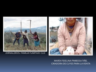 áLbum De FotografíAs