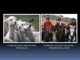 áLbum De FotografíAs