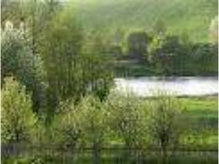 áLbum De FotografíAs