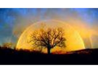 áLbum De FotografíAs