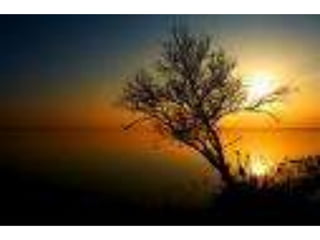 áLbum De FotografíAs