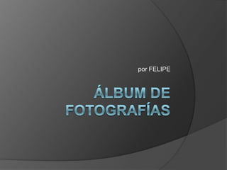 Álbum de fotografías por FELIPE 