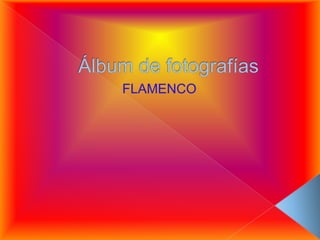 Álbum de fotografías FLAMENCO 