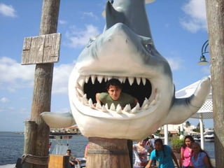 áLbum de fotografías