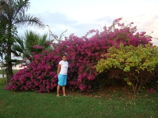 áLbum de fotografías