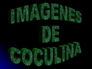 IMAGENES  DE COCULINA 