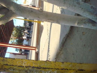 áLbum de fotografías