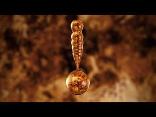 áLbum de fotografías