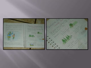 áLbum de fotografías