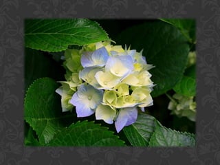 áLbum de fotografías