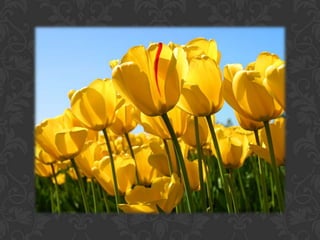 áLbum de fotografías