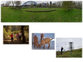 PARQUE DEL GUADALETE
