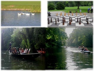 PARQUE DEL GUADALETE