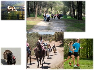 PARQUE DEL GUADALETE