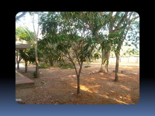 áLbum de fotografías