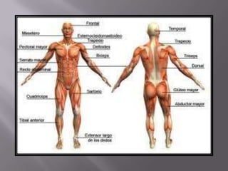 áLbum de fotografías