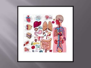 áLbum de fotografías