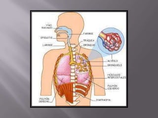 áLbum de fotografías