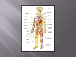 áLbum de fotografías