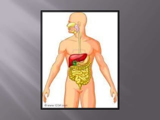 áLbum de fotografías