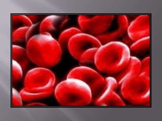 áLbum de fotografías