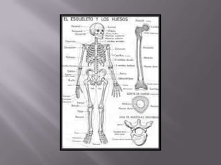 áLbum de fotografías