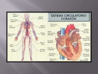 áLbum de fotografías