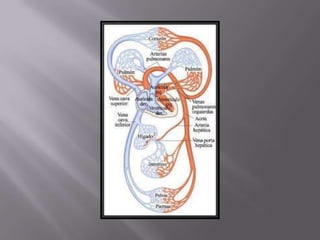 áLbum de fotografías