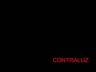 CONTRALUZ
 
