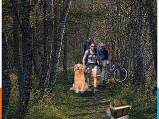 Álbum de fotografías