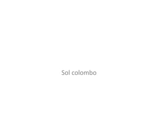 Sol colombo
 