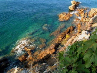 Album de fotografías pps