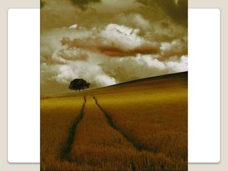 Album de fotografías pps