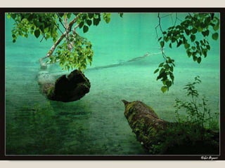 Album de fotografías pps