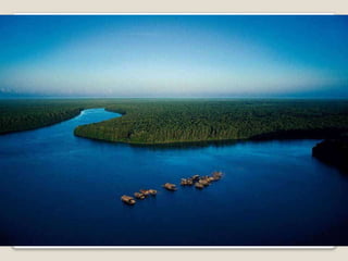 Album de fotografías pps