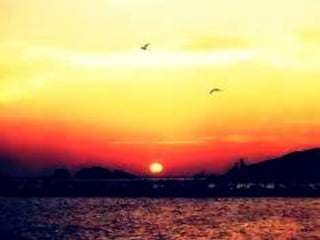 áLbum de fotografías  