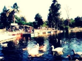 áLbum de fotografías  