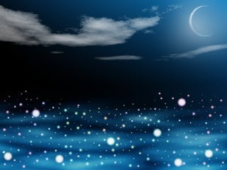 áLbum de fotografías 14