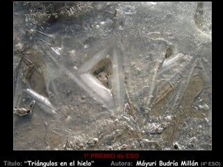 1º PREMIO de ESO
Título: “Triángulos en el hielo”    Autora: Máyuri Budría Millán (4º ESO)
 