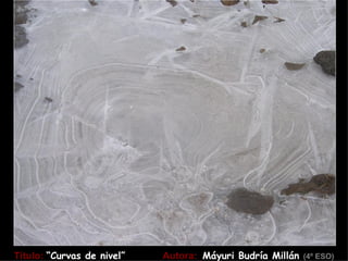 Título: “Curvas de nivel”   Autora: Máyuri Budría Millán (4º ESO)
 